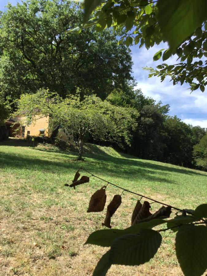 Logis Des 4 Fees Et Son Bain Nordique Sainte-Nathalène Exterior foto